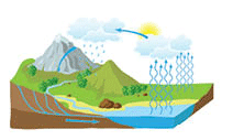 A graphic showing the hydrologic (water) cycle.