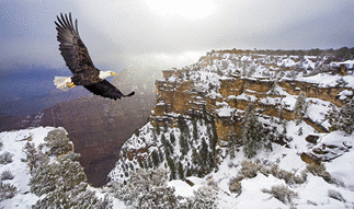 An flying around the rim of the Grand Canyon.