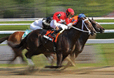 A horse race at Saratoga Race Course