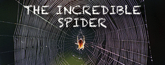 The title of this article is THE INCREDIBLE SPIDER.