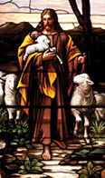 Stained glass windown depicting Bible Gospel story of Jesus Christ as the Good Shepherd with the sheep.