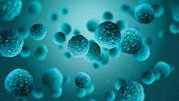 Bacteria virus or germs microorganism cells under microscope