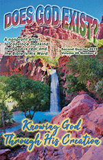 The cover of our 2nd quarter 2019 journal shows a waterfall in the Grand Canyon.