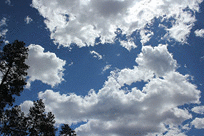Blue sky with clouds and trees
