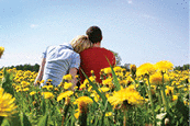 A happy couple outdoors in a field of yellow flowers