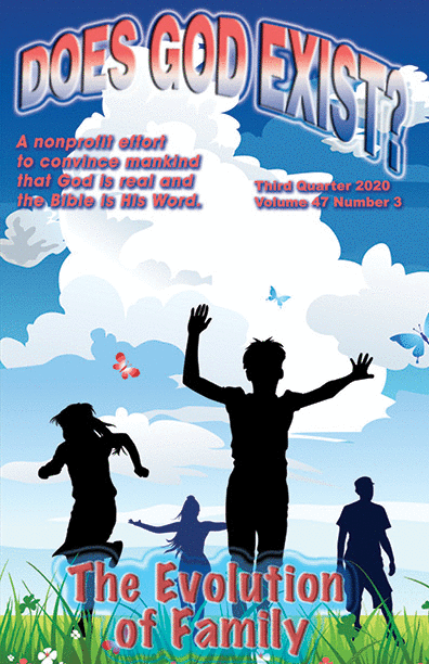The cover of our 3rd quarter 2020 journal shows silhouettes of four children playing outside!