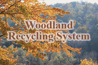 The title of this article is Woodland Recycling System--the picture is a leaves on a tree branch changing color.