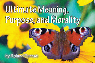 The title of this article is 'Ultimate Meaning, Purpose, and Morality,' with a picture of the urticaria butterfly sits on a yellow flower.
