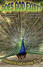 The cover of our 2nd quarter 2022 journal shows a picture of the peacock (male).