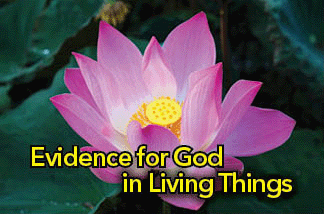 The title of this article is 'Evidence for God in the Living Things,' with a pink lotus flower.