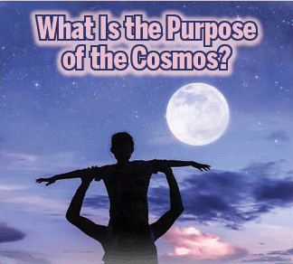 The title of this article is What Is the Purpose of the Cosmos? with a Silhouette father and daughter on the beach with million stars galaxy ,the moon and blue sky early morning.
.