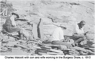 Charles Walcott, Sidney Walcott, and Helen Walcott working on a site.