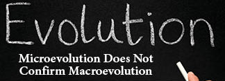 The title of this article is MICROEVOLUTION DOES NOT CONFIRM MACROEVOLUTION with the word evolution spelled on a blackboard.