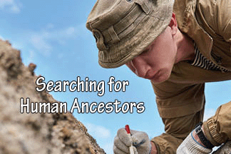The title of this article is SEARCHING FOR HUMAN ANCESTORS with a picture of an archaeologist gently cleaning  with a brush the fossil bone found in the ground.