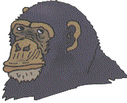 Ape head
