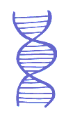 Double Helix of DNA