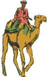 Rider on a camel
