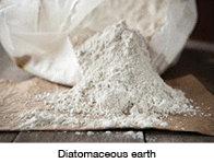 Diatomaceous earth