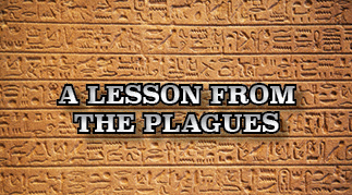 The title of this article is A LESSON FROM THE PLAGUES. The background picture is of some Egyptian hieroglyps on a wall.