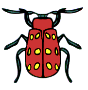 Red beetle with yellow spots