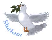 Dove carrying an olive leaf and words shalom