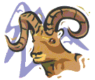 Mountain goats horns
