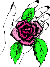 a rose in a hand